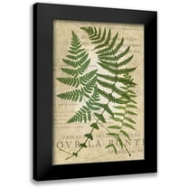Vision Studio 11x14 Black Modern Framed Museum Art Print Titled - Fern Folio I