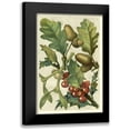 thumbnail image 1 of Vision Studio 11x14 Black Modern Framed Museum Art Print Titled - Fruits and Foliage II, 1 of 5