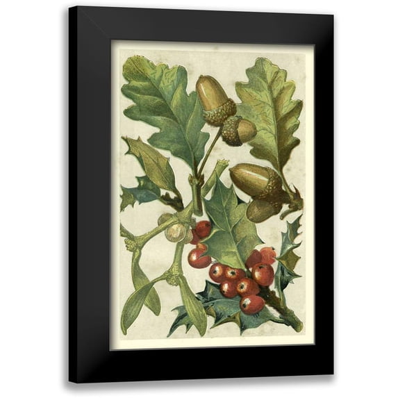 Vision Studio 11x14 Black Modern Framed Museum Art Print Titled - Fruits and Foliage II