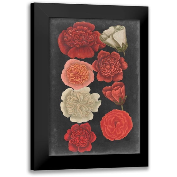 Vision Studio 11x14 Black Modern Framed Museum Art Print Titled - Midnight Roses