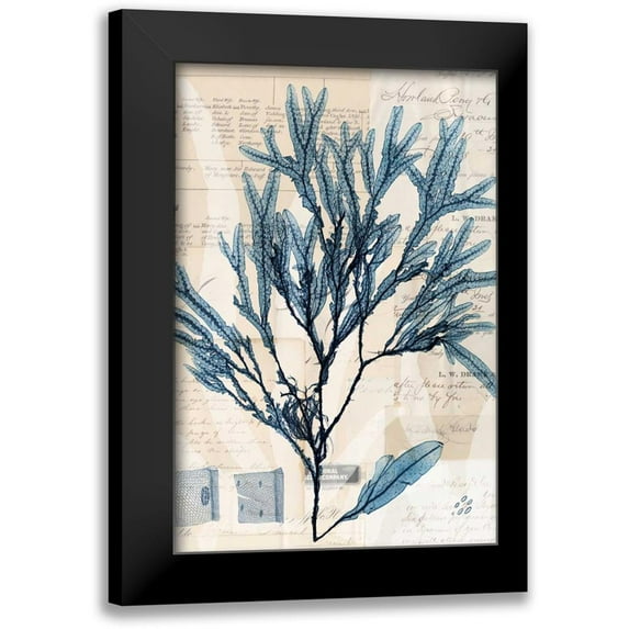 Vision Studio 11x14 Black Modern Framed Museum Art Print Titled - Seaweed Arrangement I