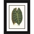 thumbnail image 1 of Vision Studio  11x14 Black Ornate Wood Framed with Double Matting Museum Art Print Titled - Collected Leaves V, 1 of 4