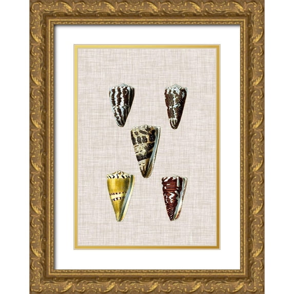 Vision Studio 11x14 Gold Ornate Wood Framed with Double Matting Museum Art Print Titled - Antique Shells on Linen VIII