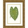 thumbnail image 1 of Vision Studio  11x14 Gold Ornate Wood Framed with Double Matting Museum Art Print Titled - Collected Leaves IX, 1 of 4