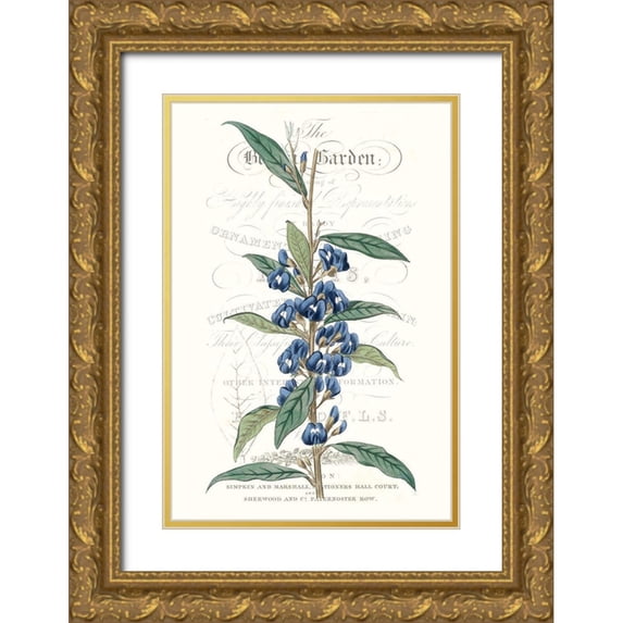 Vision Studio 11x14 Gold Ornate Wood Framed with Double Matting Museum Art Print Titled - Flower Garden Varietals VI
