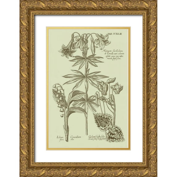 Vision Studio 11x14 Gold Ornate Wood Framed with Double Matting Museum Art Print Titled - Garden of Flora IV