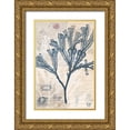 thumbnail image 1 of Vision Studio 11x14 Gold Ornate Wood Framed with Double Matting Museum Art Print Titled - Seaweed Arrangement III, 1 of 4