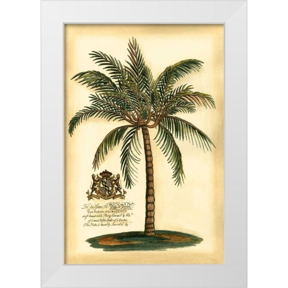 Vision Studio 11x14 White Modern Wood Framed Museum Art Print Titled - British Colonial Palm III