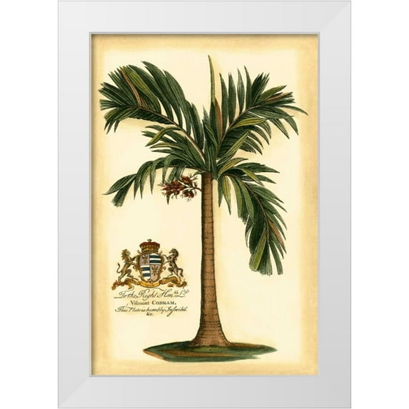 Vision Studio 11x14 White Modern Wood Framed Museum Art Print Titled - British Colonial Palm I