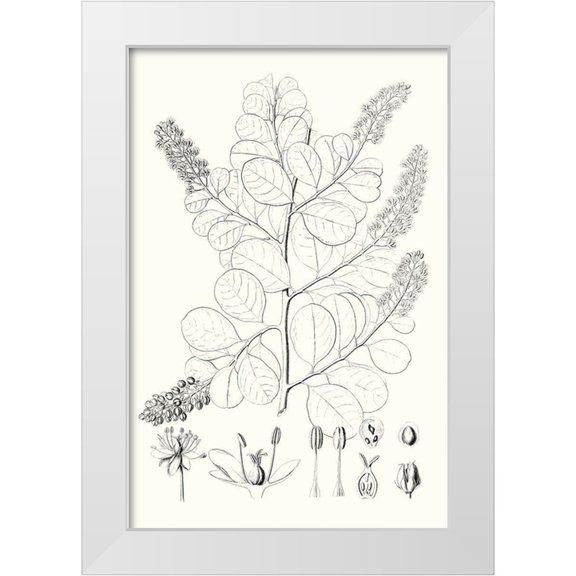 Vision Studio 11x14 White Modern Wood Framed Museum Art Print Titled - Illustrative Leaves IV