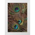 thumbnail image 1 of Vision Studio 11x14 White Modern Wood Framed Museum Art Print Titled - Peacock Feathers IV, 1 of 4