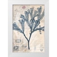 thumbnail image 1 of Vision Studio 11x14 White Modern Wood Framed Museum Art Print Titled - Seaweed Arrangement III, 1 of 4