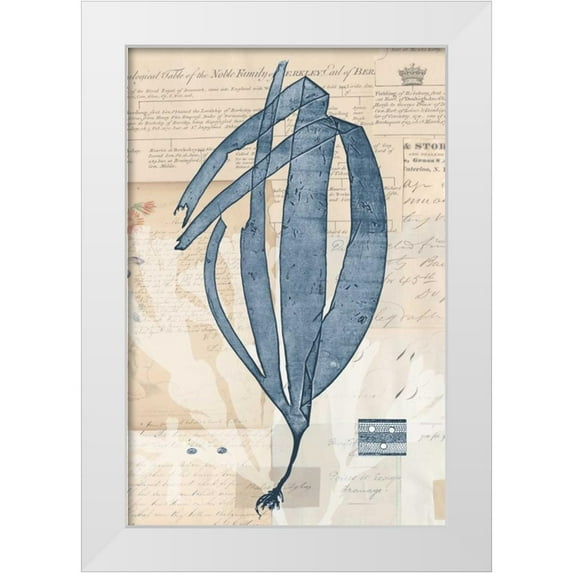 Vision Studio 11x14 White Modern Wood Framed Museum Art Print Titled - Seaweed Arrangement IV