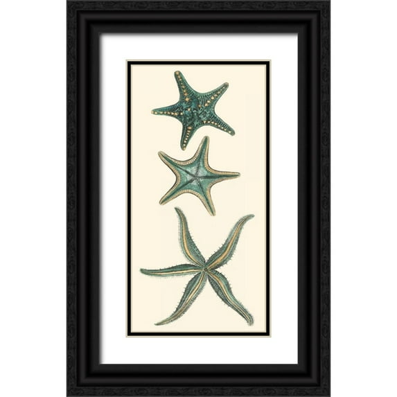 Vision Studio 11x18 Black Ornate Wood Framed with Double Matting Museum Art Print Titled - Aquamarine Starfish I