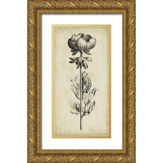 Vision Studio 11x18 Gold Ornate Wood Framed with Double Matting Museum Art Print Titled - Singular Beauty III