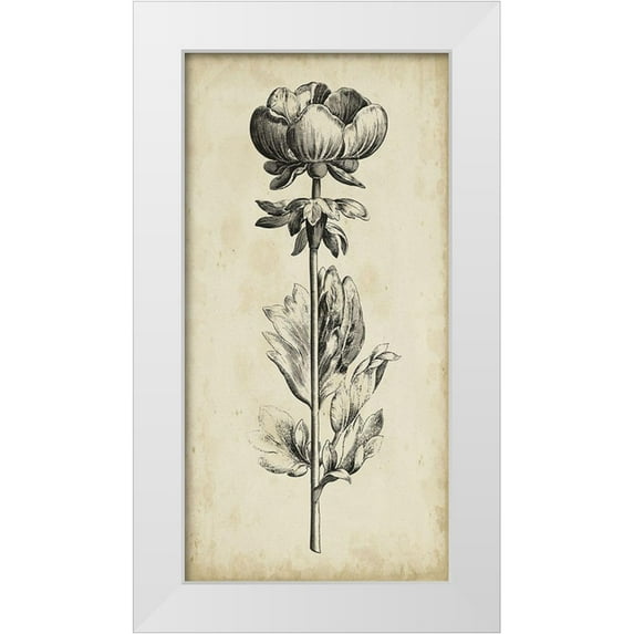 Vision Studio 11x18 White Modern Wood Framed Museum Art Print Titled - Singular Beauty III
