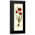 thumbnail image 1 of Vision Studio 11x24 Black Modern Framed Museum Art Print Titled - Custom Amaryllis Panel I, 1 of 5
