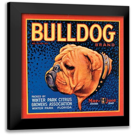Vision Studio 12x12 Black Modern Framed Museum Art Print Titled - Bull Dog