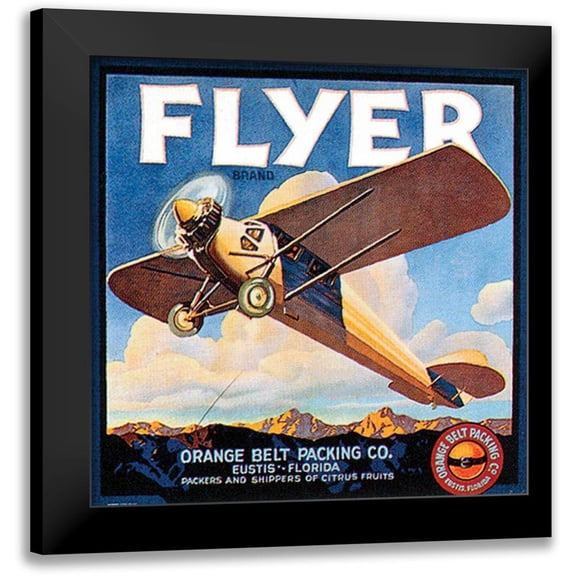 Vision Studio 12x12 Black Modern Framed Museum Art Print Titled - Flyer
