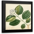 thumbnail image 1 of Vision Studio 12x12 Black Modern Framed Museum Art Print Titled - Garden Bounty VII, 1 of 5