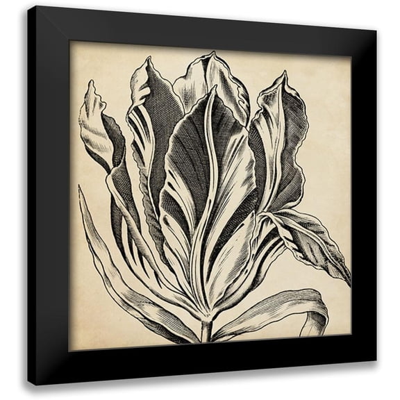 Vision Studio 12x12 Black Modern Framed Museum Art Print Titled - Graphic Floral I
