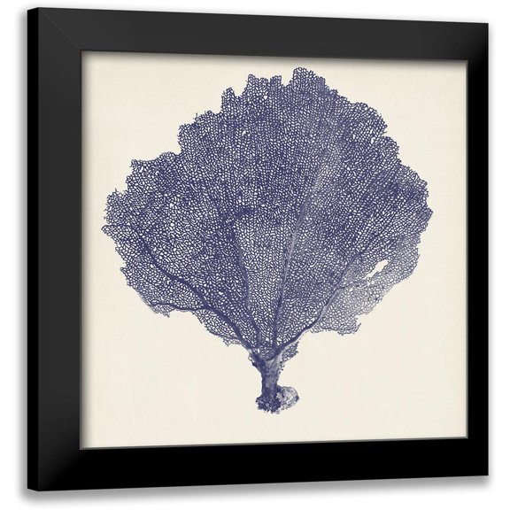 Vision Studio 12x12 Black Modern Framed Museum Art Print Titled - Indigo Seafan II A.