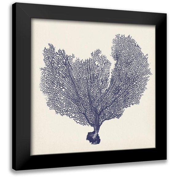 Vision Studio 12x12 Black Modern Framed Museum Art Print Titled - Indigo Seafan II B.