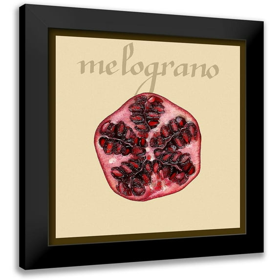 Vision Studio 12x12 Black Modern Framed Museum Art Print Titled - Italian Fruit I