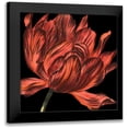 thumbnail image 1 of Vision Studio 12x12 Black Modern Framed Museum Art Print Titled - Mini Transitional Tulip IV, 1 of 5