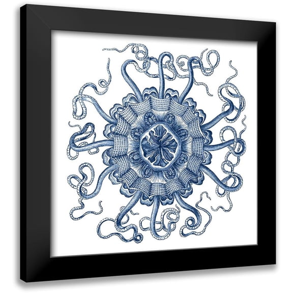 Vision Studio 12x12 Black Modern Framed Museum Art Print Titled - Navy Ocean Gems II