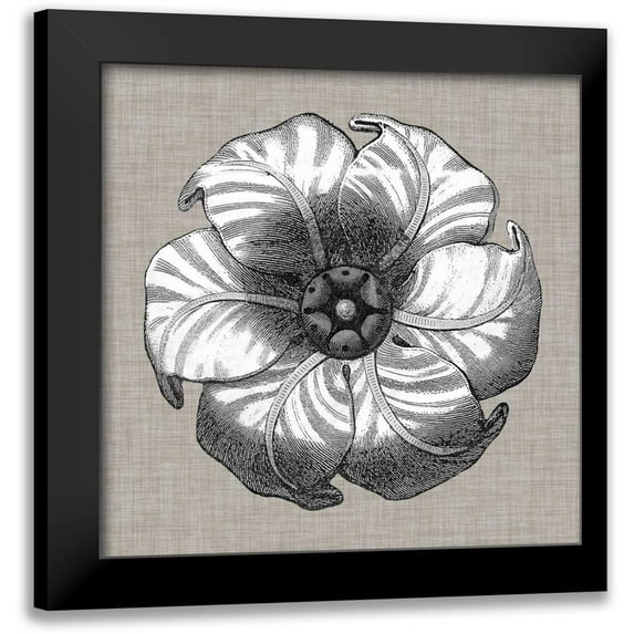 Vision Studio 12x12 Black Modern Framed Museum Art Print Titled - Neutral Rosette Detail III