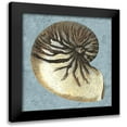 thumbnail image 1 of Vision Studio 12x12 Black Modern Framed Museum Art Print Titled - Stonewashed Shells III, 1 of 5