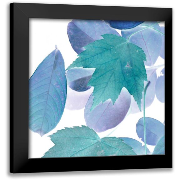 Vision Studio 12x12 Black Modern Framed Museum Art Print Titled - Xray Leaves III