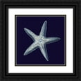 thumbnail image 1 of Vision Studio 12x12 Black Ornate Wood Framed with Double Matting Museum Art Print Titled - Indigo Shells IV, 1 of 4