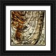 thumbnail image 1 of Vision Studio 12x12 Black Ornate Wood Framed with Double Matting Museum Art Print Titled - Natures Textures III, 1 of 4