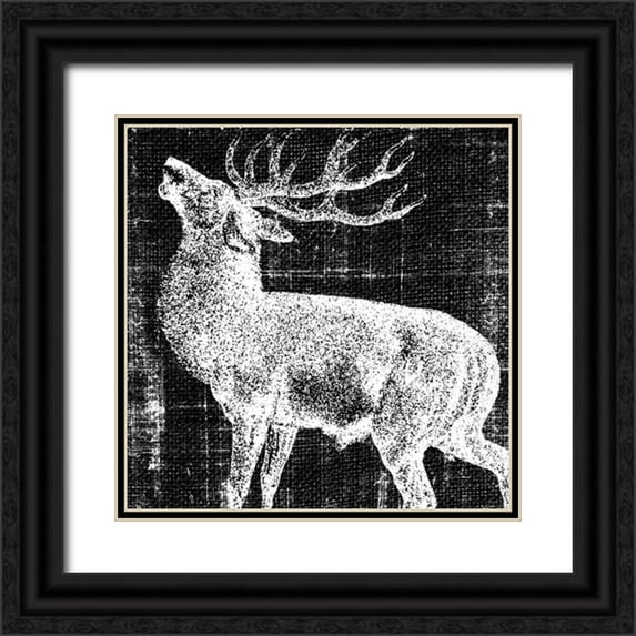Vision Studio 12x12 Black Ornate Wood Framed with Double Matting Museum Art Print Titled - Northwest Territory II