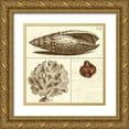 thumbnail image 1 of Vision Studio 12x12 Gold Ornate Wood Framed with Double Matting Museum Art Print Titled - Shell Classification II, 1 of 4
