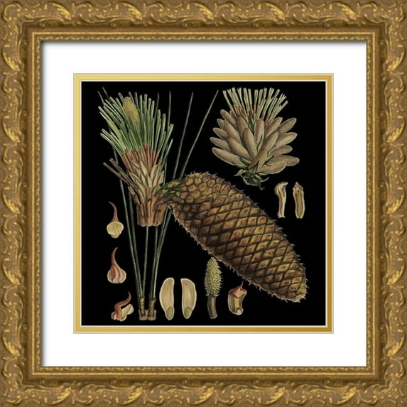 Vision Studio 12x12 Gold Ornate Wood Framed with Double Matting Museum Art Print Titled - Small Dramatic Conifers VI