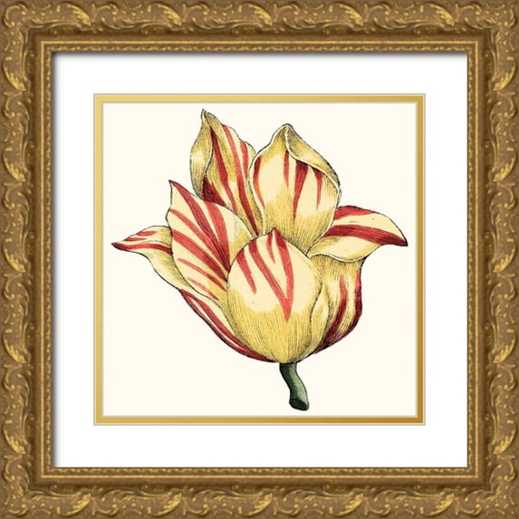 Vision Studio 12x12 Gold Ornate Wood Framed with Double Matting Museum Art Print Titled - Tulip Garden III
