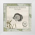 thumbnail image 1 of Vision Studio 12x12 White Modern Wood Framed Museum Art Print Titled - Biologia Marina I, 1 of 4