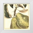 thumbnail image 1 of Vision Studio 12x12 White Modern Wood Framed Museum Art Print Titled - Graphic Pear, 1 of 4