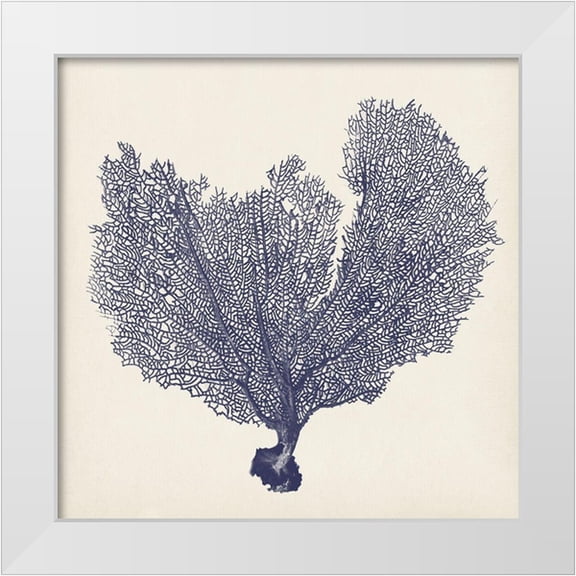 Vision Studio 12x12 White Modern Wood Framed Museum Art Print Titled - Indigo Seafan II B.