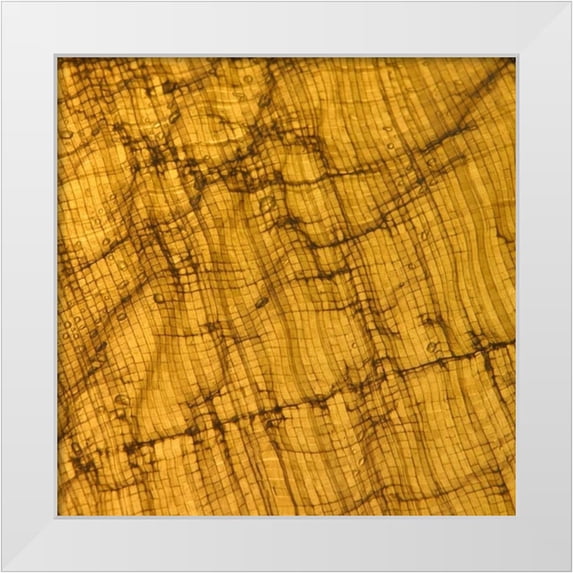 Vision Studio 12x12 White Modern Wood Framed Museum Art Print Titled - Natures Textures I