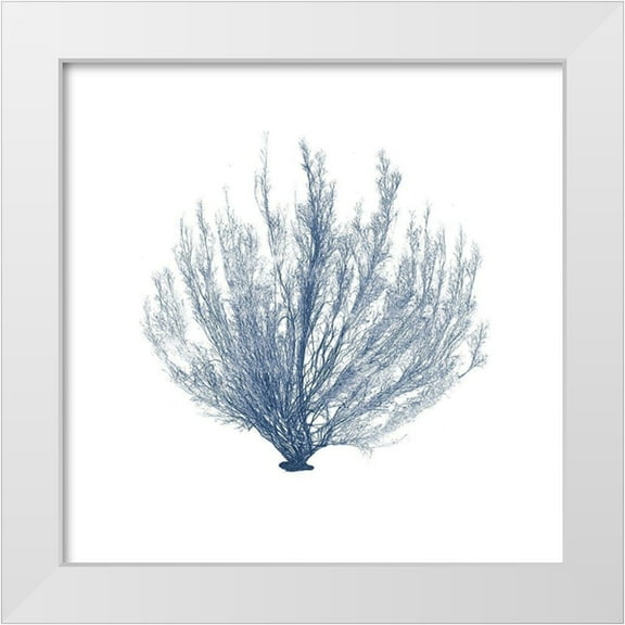 Vision Studio 12x12 White Modern Wood Framed Museum Art Print Titled - Navy Seaweed VI