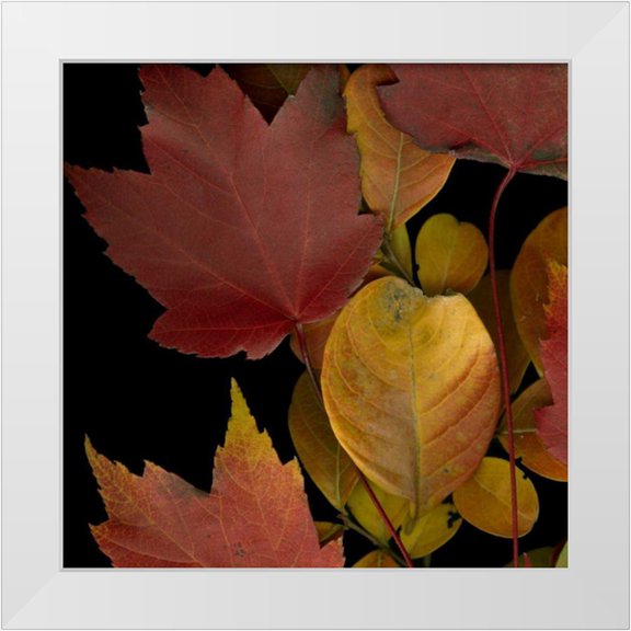 Vision Studio 12x12 White Modern Wood Framed Museum Art Print Titled - Small Vivid Leaves IV