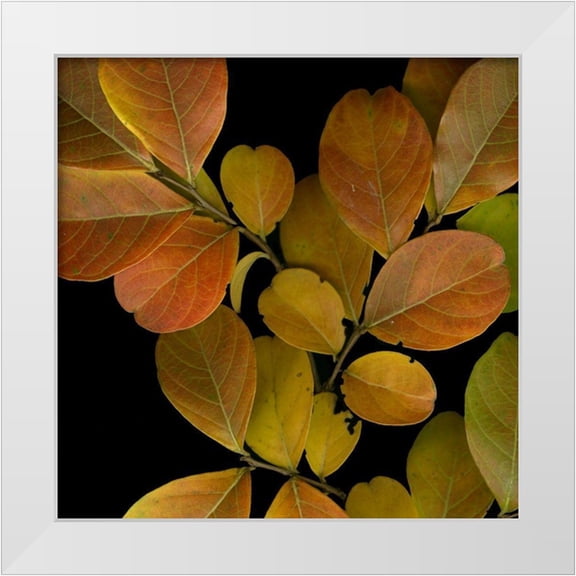 Vision Studio 12x12 White Modern Wood Framed Museum Art Print Titled - Vivid Leaves I