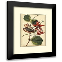 Vision Studio 12x13 Black Modern Framed Museum Art Print Titled - Petite Dragonflies III