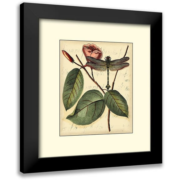 Vision Studio 12x13 Black Modern Framed Museum Art Print Titled - Petite Dragonflies IV