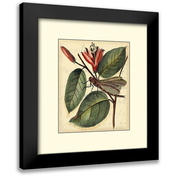 Vision Studio 12x13 Black Modern Framed Museum Art Print Titled - Petite Dragonflies V