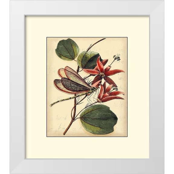 Vision Studio 12x13 White Modern Wood Framed Museum Art Print Titled - Petite Dragonflies III